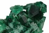 Fluorite Crystal Cluster - Rogerley Mine #143053-1